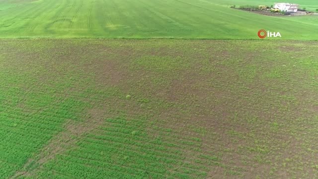 Çiftçiyi Kuraklık Değil Aşırı Yağışlar Vurdu