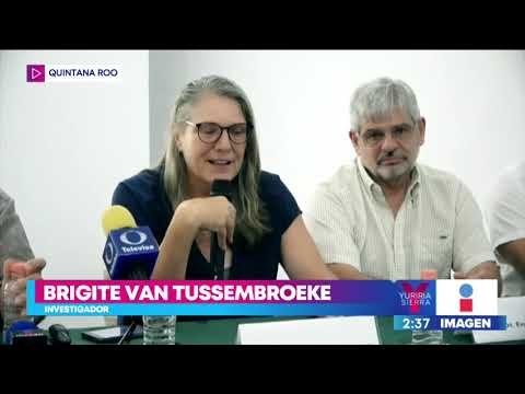 Empresarios y científicos unen esfuerzos contra el sargazo en Quintana Roo | Noticias con Yuriria
