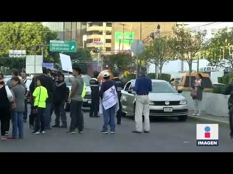 Multarán a Mitikah por la tala de 56 árboles | Noticias con Ciro Gómez Leyva