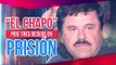 Estos son los tres deseos que pide 'El Chapo' en prisión | Noticias con Francisco Zea