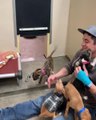 Adorable Puppies Climb onto Adoption Shelter Employee