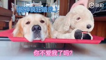Funny cloud (搞笑云）#4