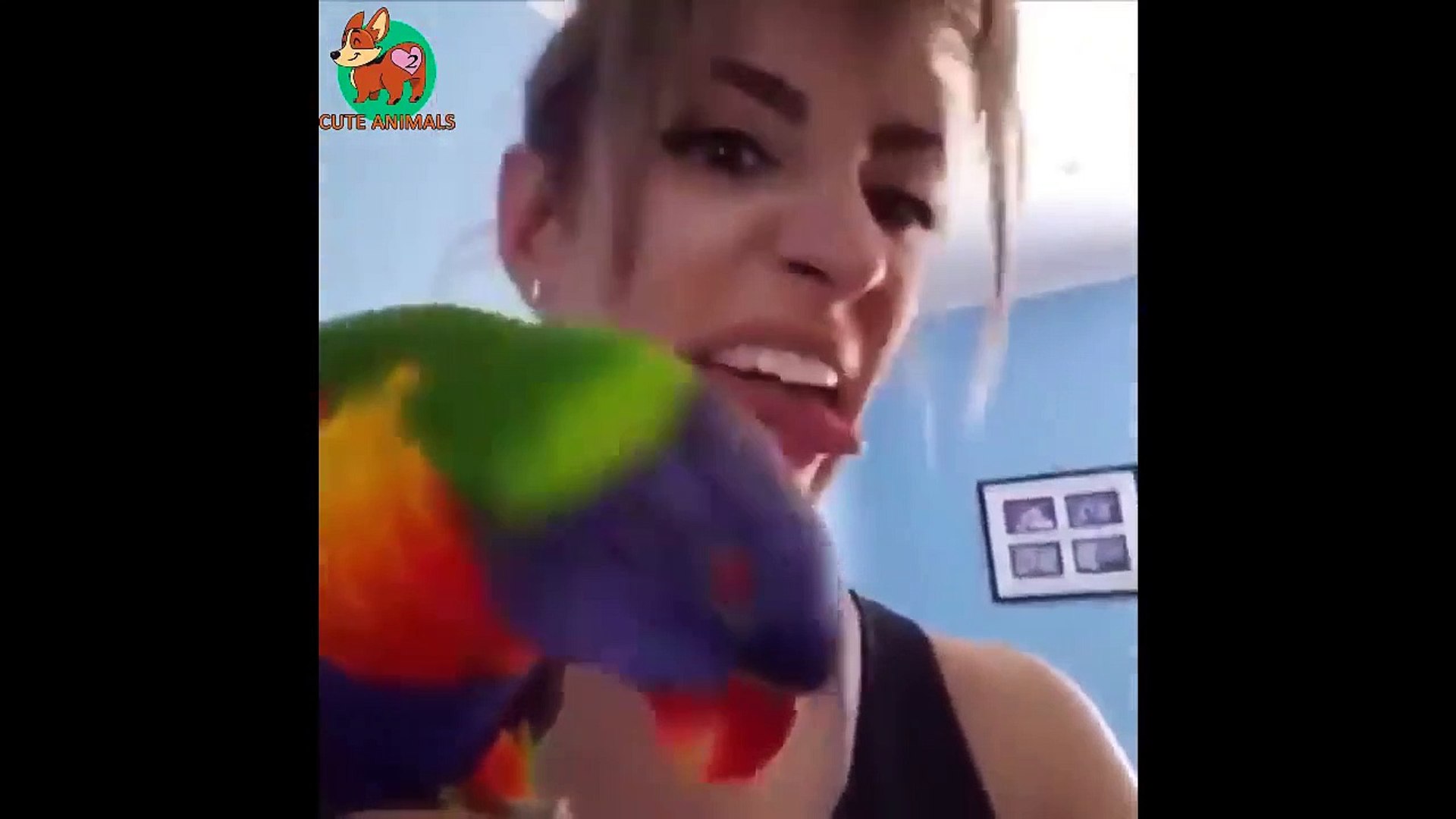 ⁣Awesome Funny Animals Life Videos - Funniest Pets