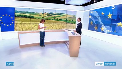 Union européenne : les subventions agricoles devraient baisser