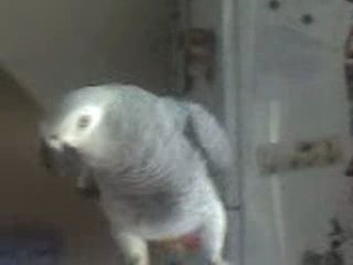 miko dit "Un bisou-bonjour-gratouille-gratouille moi"