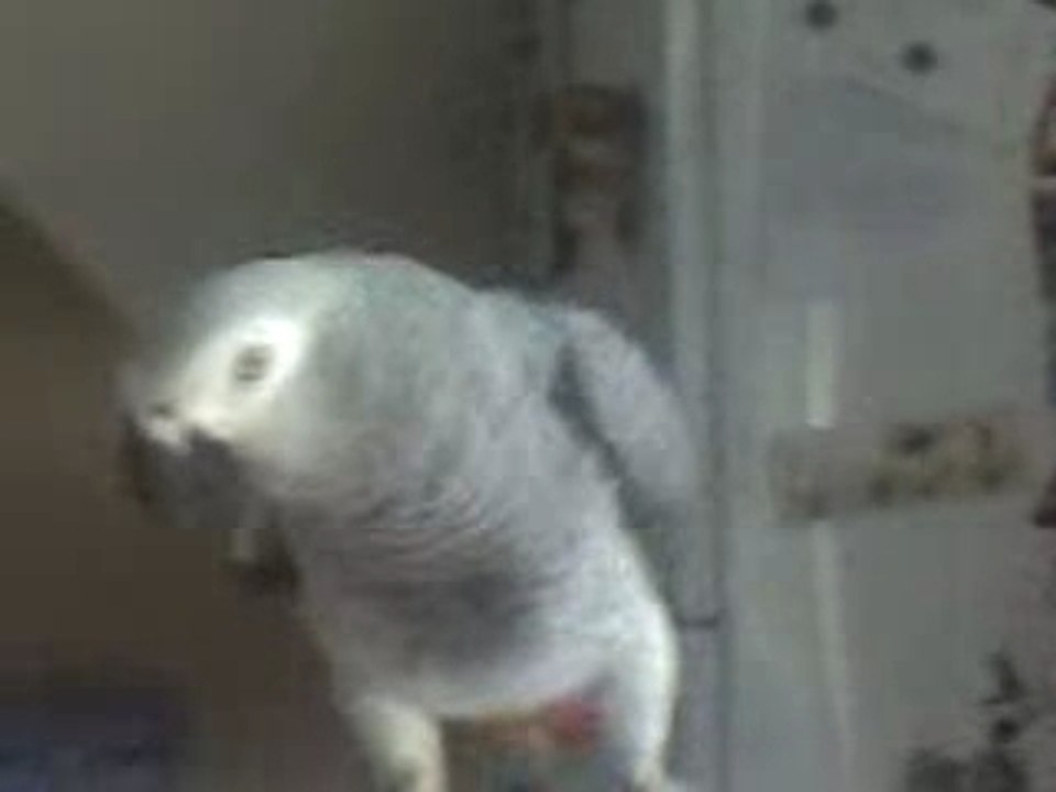 miko dit "Un bisou-bonjour-gratouille-gratouille moi"