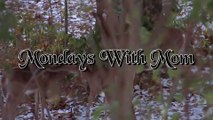 Mondays With Mom Ep #90 Mothers Day Special!