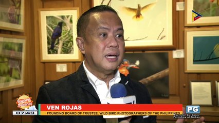 WWW: Solo bird exhibit