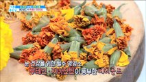 [HEALTH] Marigold, which is good for your eye health!,기분 좋은 날20190514