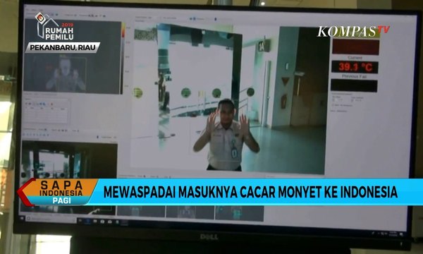 Waspadai Penularan Penyakit Cacar Monyet, Kenali Gejala dan Trik Pencegahannya