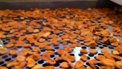 Process of dried fruit production