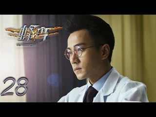 蜂鸟 28 | The Humming bird 28（刘恺威，张佳宁，李溪芮，毛毅 领衔主演）