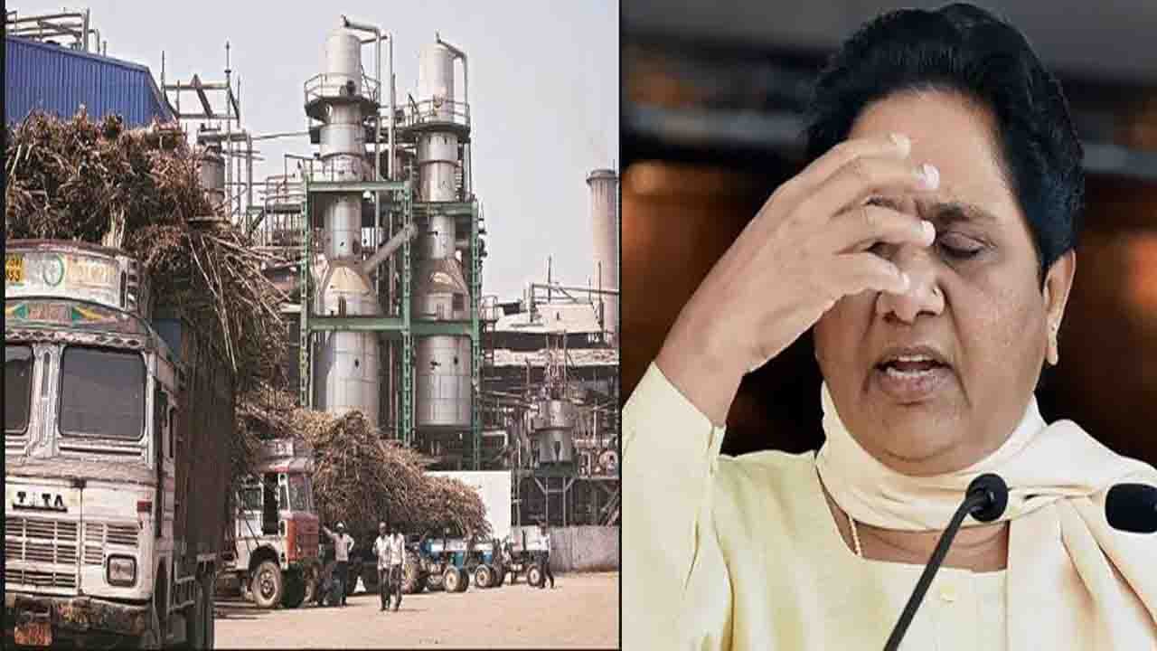 Mayawati की बढ़ी मुश्किलें, Sugar Mill Scam में ED करेगी मनी लॉन्ड्रिग की जांच | वनइंडिया हिंदी