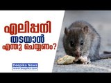 Leptospirosis (Rat Fever): Prevention Tips, Things to Care! Dr. Paul Vazhappally