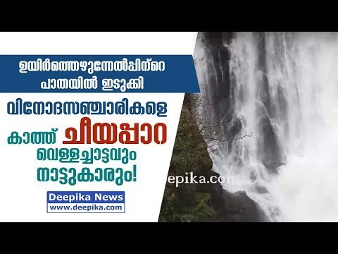 Idukki Resurrects! Cheeyappara Waterfalls, Natives Await More Foreign Tourists / Deepika News