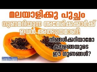 നിസ്സാരക്കാരനല്ല പപ്പായ! അറിയാം പപ്പായയുടെ ഗുണങ്ങള്‍