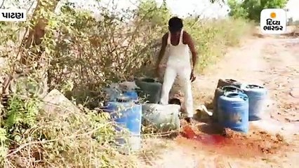 પાટણ ક્રાઈમ બ્રાન્ચના દારૂની ભઠ્ઠીઓ પર દરોડા, 11 હજાર લિટર વાંસનો નાશ કર્યો