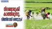 Farmers in Kuttanadu Struggle to Get Seeds for Sowing; Who will See It? Nilapadu, Deepika