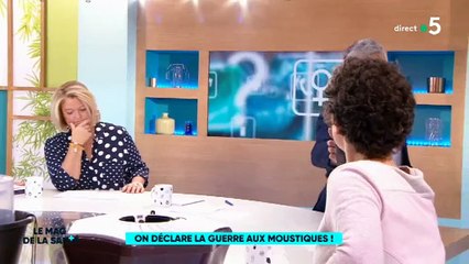 On est en mai, c'est le retour des moustiques ! Comment s'en débarasser ? "Le Mag de la Santé" de France 5 a la réponse - Regardez
