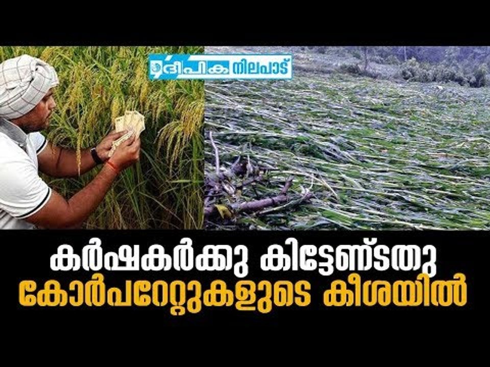 How Corporates Loot Farmers via Govt Schemes Like Vila Insurance, Agri Insurances? Deepika Nilapadu