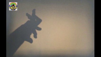 SHADOW TRICKS -(GÖLGE OYUNLARI)