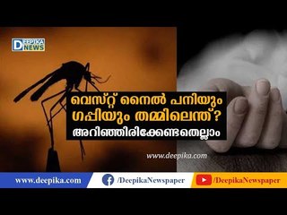 Tải video: വെസ്റ്റ് നൈല്‍ പനിയും ഗപ്പിയും തമ്മിലെന്ത്? അറിഞ്ഞിരിക്കേണ്ടതെല്ലാം West Nile Virus: Things to Know