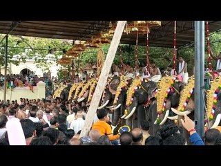 Thrissur Pooram Live