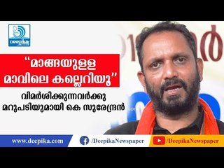 മാങ്ങയുളള മാവിലെ കല്ലെറിയൂ; വിമര്‍ശകര്‍ക്കു മറുപടിയുമായി കെ സുരേന്ദ്രന്‍ K Surendran Interview