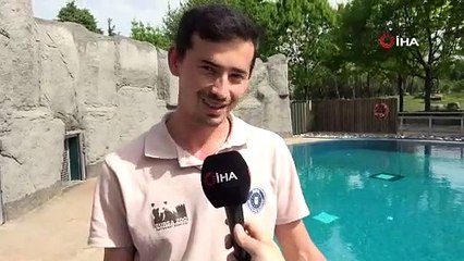 Fok ile bakıcısının dostluğu hayran bırakıyor