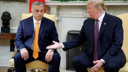 Descargar video: Trump meeting 'may help Viktor Orban in European Parliament elections'