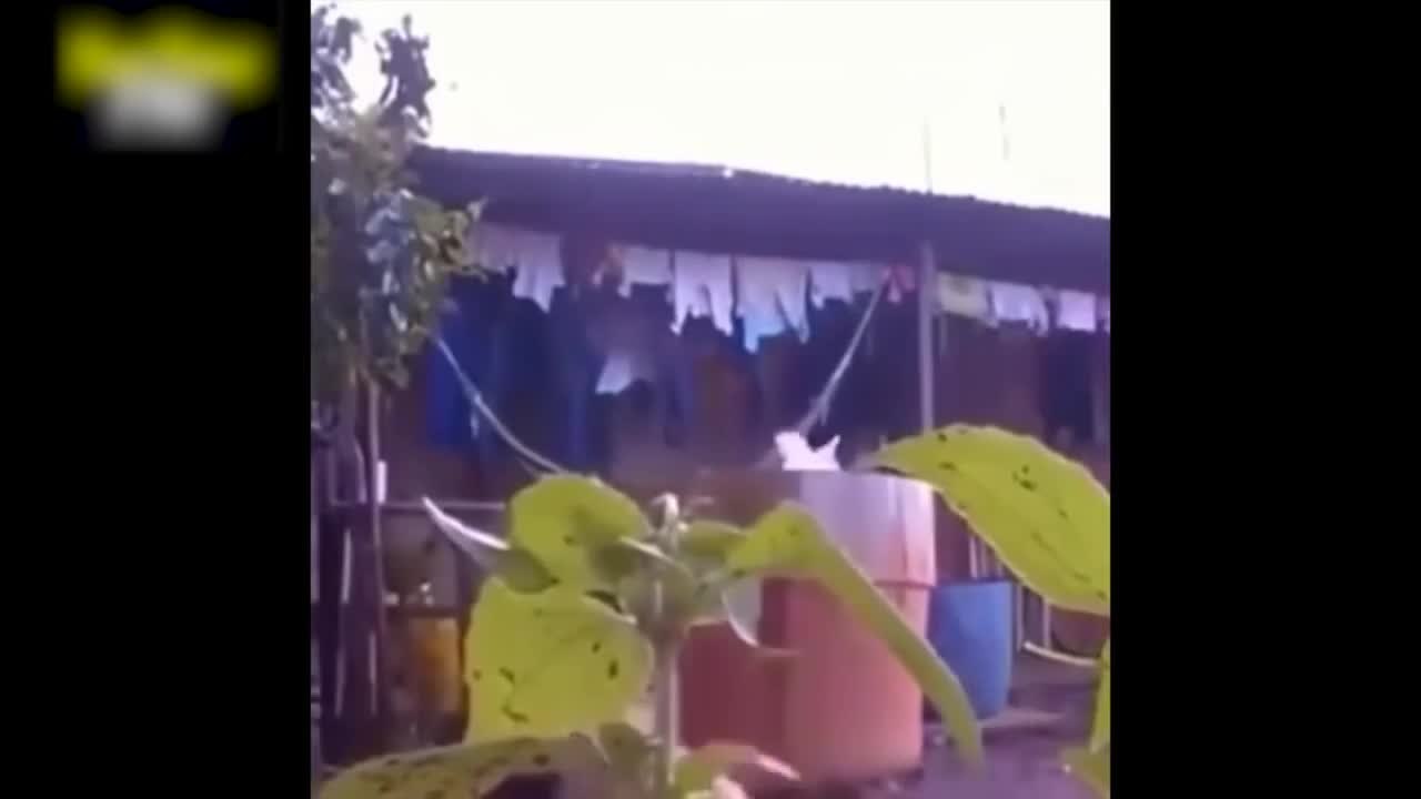 Perfect moments