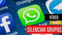 Cómo silenciar grupos en WhatsApp