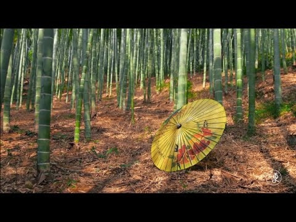[umbrella]The Oil paper umbrella with hundreds years history |More China