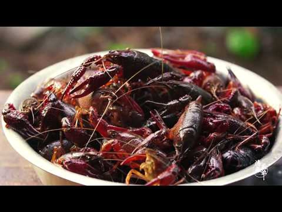 How The Chinese Deal with Foreign Invasive Species | More China