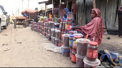 Boko Haram violence: Making ends meet in Niger's Diffa region