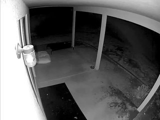 Over-excited pup slams into glass door at Arizona home