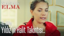 Yıldız'ın Halit takıntısı - Yasak Elma 45. Bölüm