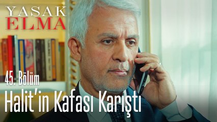 Boşanmaktan vazgeçiyor mu? - Yasak Elma 45. Bölüm