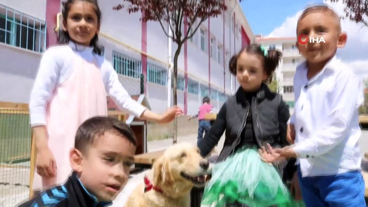 Anasınıfı öğrencileri dost edindikleri köpek ile derse giriyor