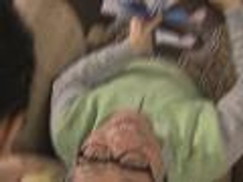 Jasmine, inaming NBSB kay Lolo