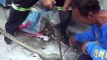 Python rescued after getting stuck in drain hole while fleeing stray dogs