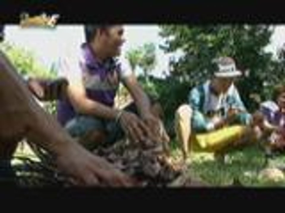 Ang Niyog To The World Parol na mula pa sa Pangasinan