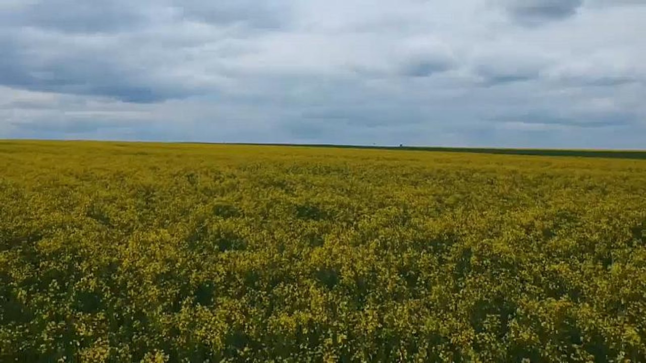 #EUroadtrip: Bei Österreichs Bauern zu Gast