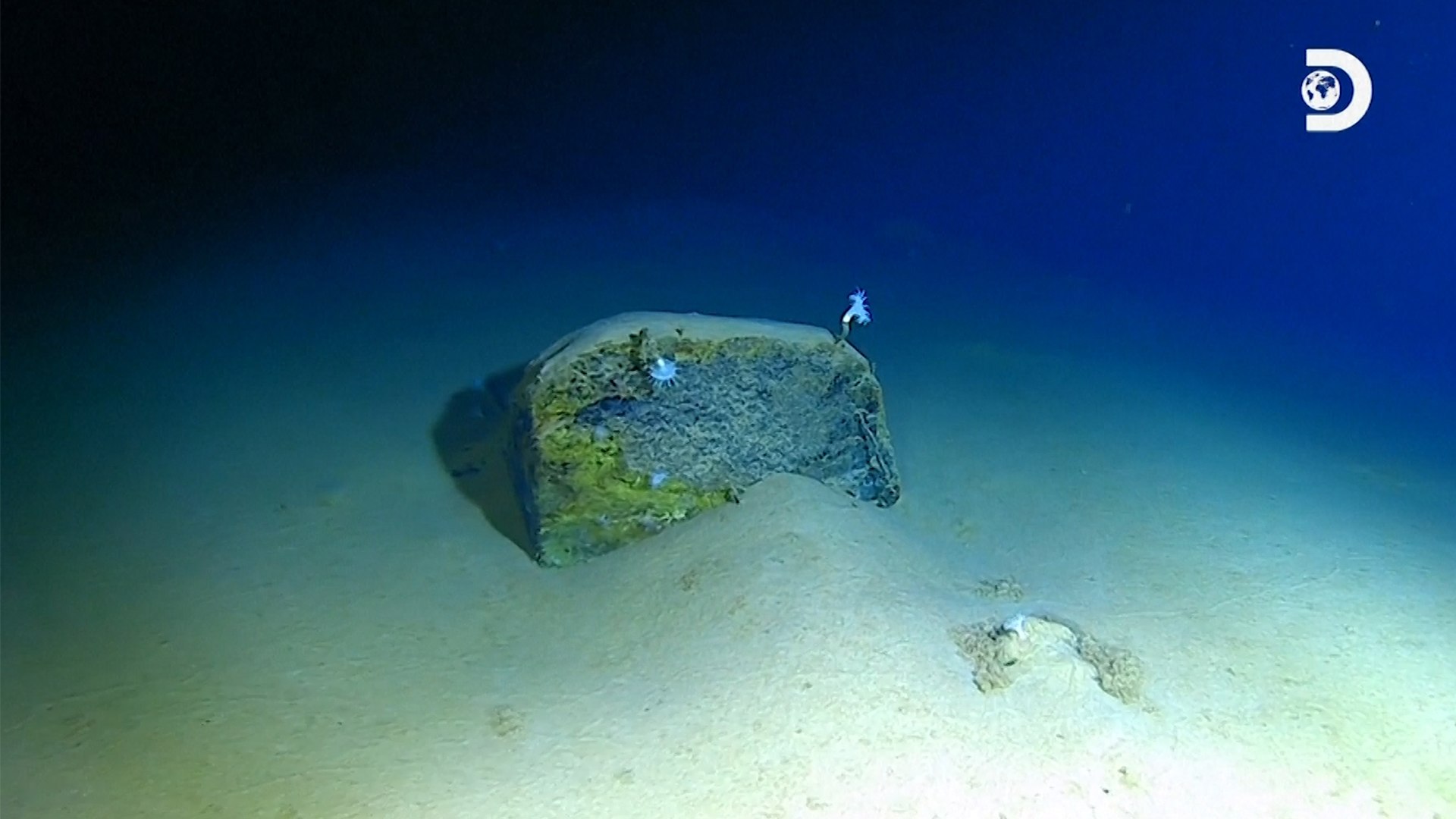 The deepest-ever sub dive discovers what appears to be trash laying on the  ocean floor, image size:1920x1080
