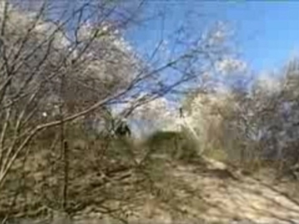 Promo du NSbikes bitch