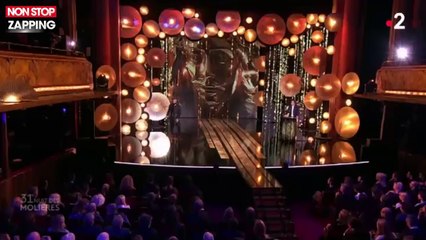 Molières 2019 : L'humoriste Fary épingle le manque de diversité au théâtre (vidéo)