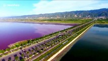 Hundreds of swimmers form Chinese national flag in Salt Lake to set Guinness World Record