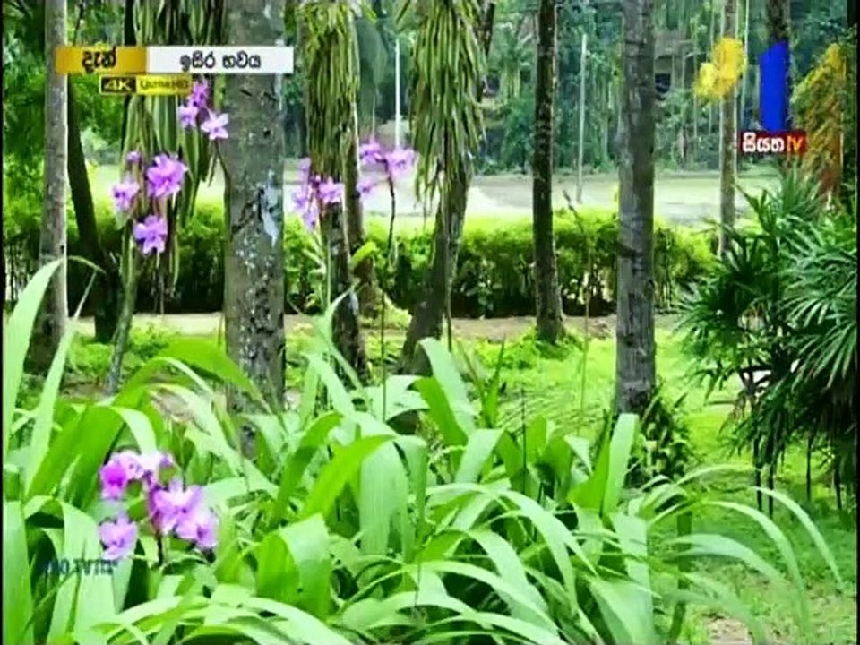 Isira Bhawaya Teledrama - 12- 14th May 2019