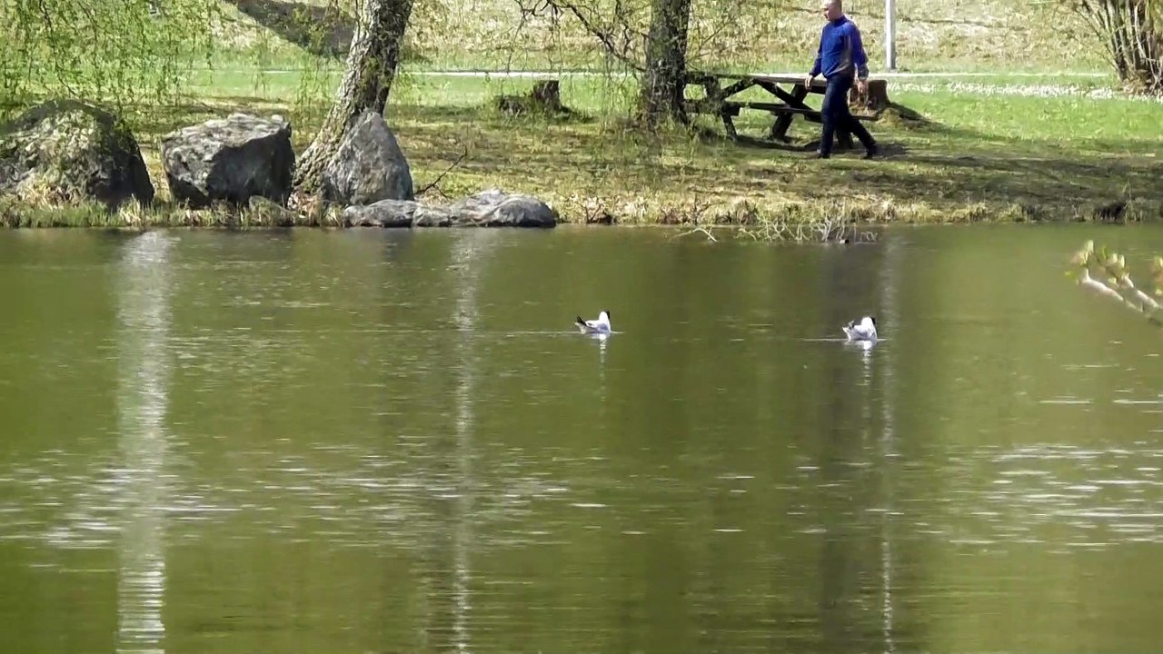 Apr 28 2019 F2