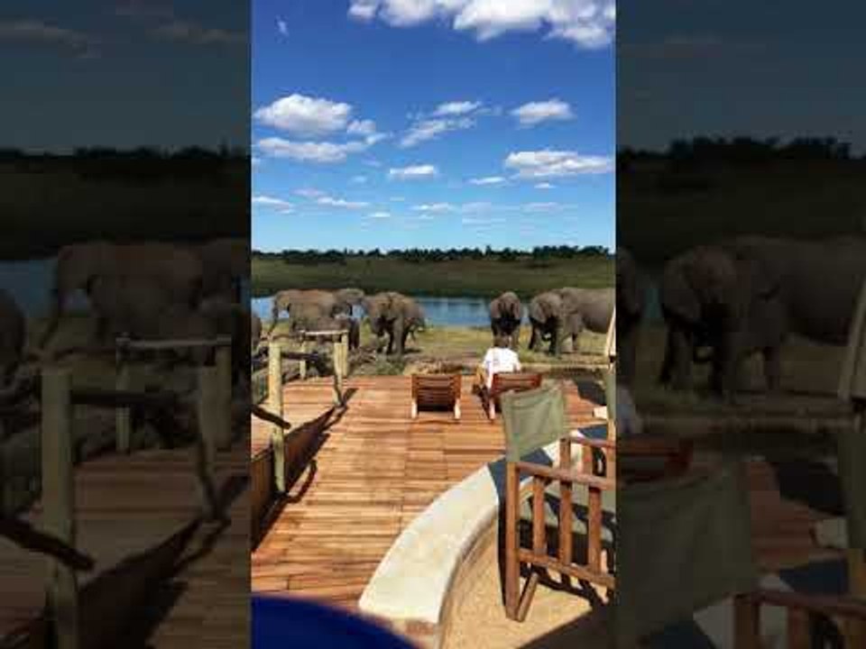 Nature lodges in Zimbabwe encourage tourists to treasure the country’s wildlife